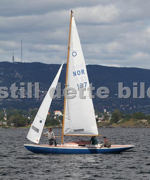 Knarr2011 379.jpg